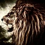Profile Picture of shareef muhammad (@shareef_muhammerd) on Instagram