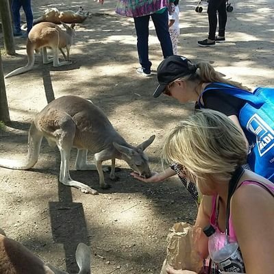 Profile Picture of Lisa wade (@Lisawade54) on Twitter