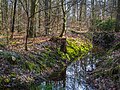 Profile Picture of Forest of Haguenauon Wikipedia