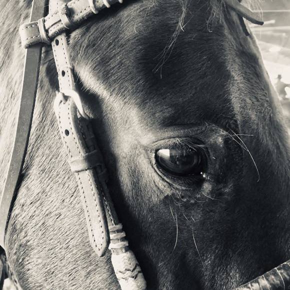 Jodi Bryce-keys - Poshmark Profile Picture of Jodi Bryce-keys (@jodikeys33) on Poshmark