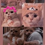 Profile Picture of Asmaa Aljanabi (@asmaa__aljanabi) on Instagram