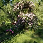 Profile Picture of Deana Deckard (@deana.deckard.7) on Facebook