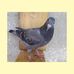 Profile Picture of David Garnica Mata (@david.garnicamata) on Facebook