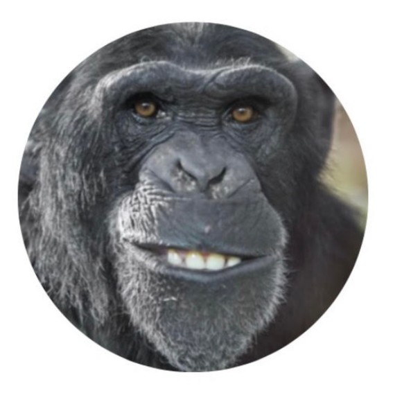 Profile Picture of Dylan Hergott (@hergalicious777) on Poshmark