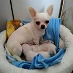 Profile Picture of José Beltrán Osorio (@jose_beltran_osorio) on Instagram