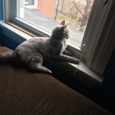 Profile Picture of Shawn Oster (@OsterShawn) on Twitter