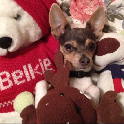 Profile Picture of Eunice Corona (@CbEunice) on Twitter