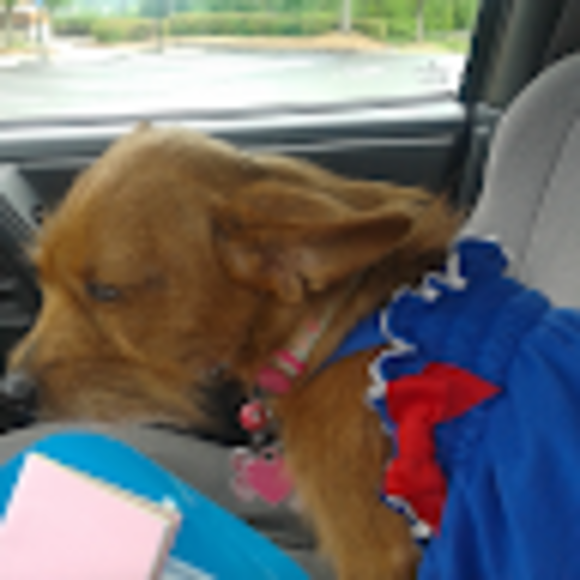 Profile Picture of Cindy Bankston (@cindybankston) on Poshmark