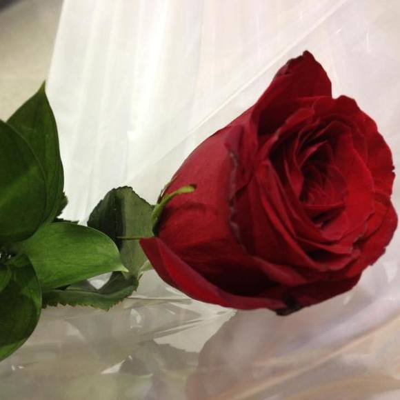 Profile Picture of Lainye Tapley (@lainyetapley) on Poshmark