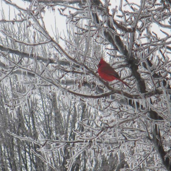 Profile Picture of Kimberly Wenzel (@kimberly_wenzel) on Poshmark