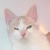 Profile Picture of Marsha Wilcox (@marsha.wilcox.73) on Facebook