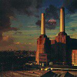 Profile Picture of Rilind Papraniku (@rilindpaps) on Instagram