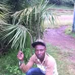 Profile Picture of Joe Melvins (@Joe-Melvins) on Facebook