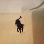 Profile Picture of Joshua Smyth (@smyth.joshua) on Instagram