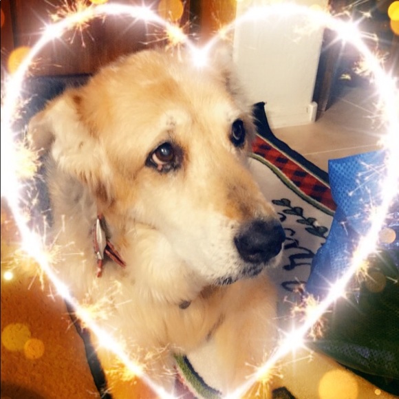 Profile Picture of Lisa Handyside (@lisahandyside) on Poshmark