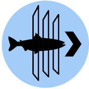 Profile Picture of Edmisten Fish Weir (@edmistenfishweir5523) on Youtube