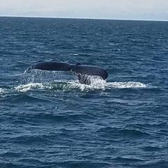 Profile Picture of Ladonna Jenson (@ladonna.jenson) on Tiktok