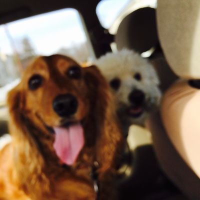 Profile Picture of Jacqui C ☹︎☻︎ (@quimoodz) on Twitter