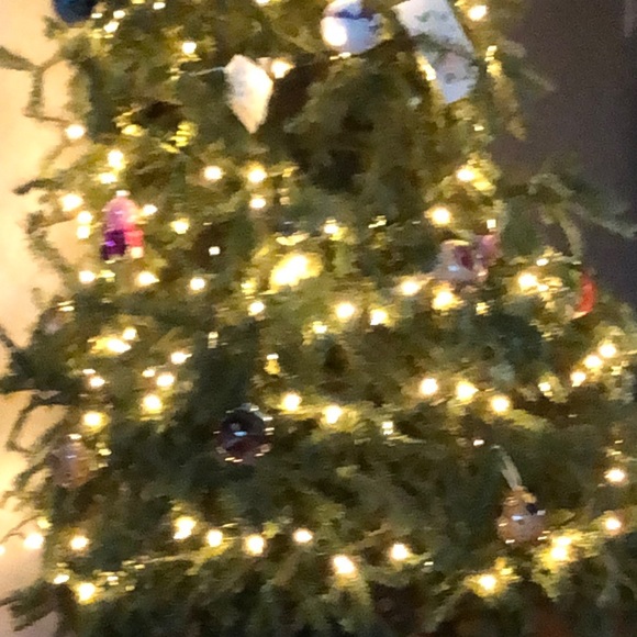 Profile Picture of Antonella Pirone (@apiron01) on Poshmark