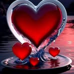 Profile Picture of Kevin Jagermeister Nitschke (@gabriela.nicolae.73) on Facebook