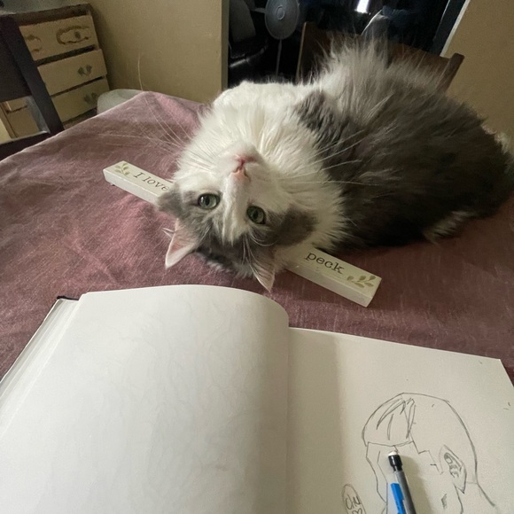 Profile Picture of Aizawa Wife (@ellz539) on Poshmark