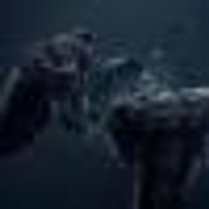 Profile Picture of Pablo Alcivar (@308974202) on Myspace