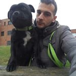 Profile Picture of Conan&Venus🐕❤️❤️ (@jose_acebal) on Instagram