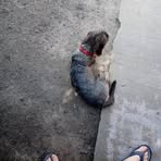 Profile Picture of Christopher Lamarre (@Christopher-Lamarre) on Facebook