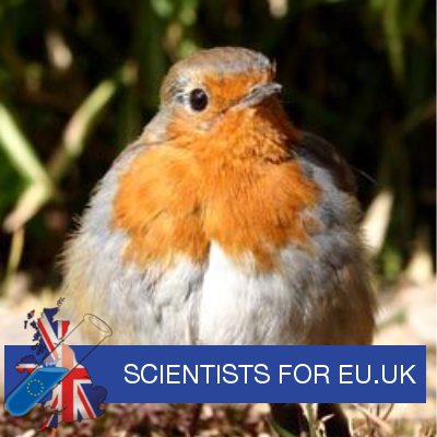 Profile Picture of Rev Andy #fbpe #RejoinEU  ⚫️  💙N 💙H 💙S 💙 #WearAMask (@The_Handy_Andy) on Twitter