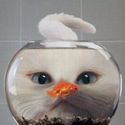 Profile Picture of Kevin Mclachlan (@kevmclachlan) on Twitter