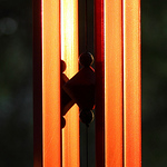 Profile Picture of Atlasshruggedsorta (@atlasshruggedsorta) on Flickr