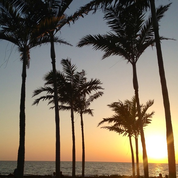 Profile Picture of Allison Reif (@allier821) on Poshmark