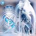 Profile Picture of Alexander Terceros Arias (@alexander.tercerosarias.7) on Facebook