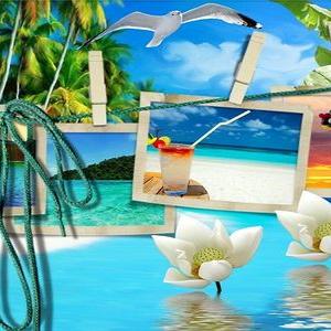 Profile Picture of Sandra Roschevitz (@fba53c21fa0f493) on Twitter