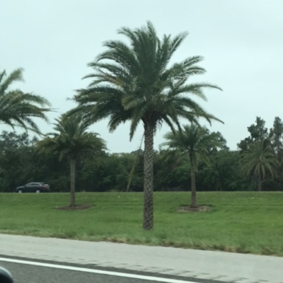 Profile Picture of Sharon Gibbons (@sg76) on Poshmark