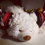 Profile Picture of Howard Reinbold (@aardvark_seasoning) on Instagram