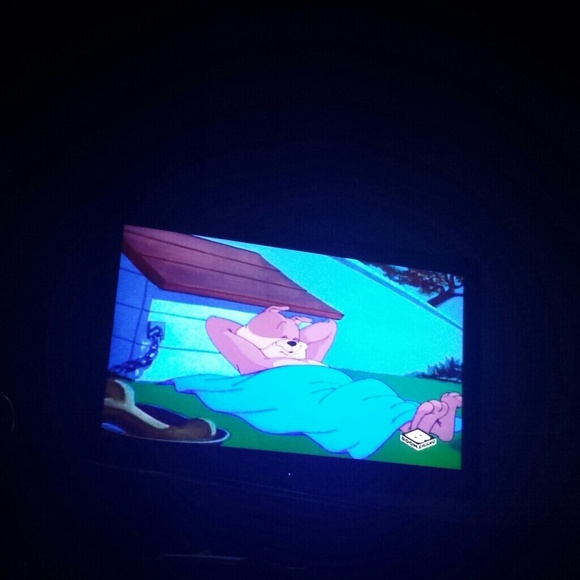 Profile Picture of Paola Hoyos (@10231019) on Poshmark