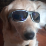 Profile Picture of James Bowley (@jamesbowley2998) on Youtube