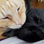 Profile Picture of Jeff Sturman (@craylux) on Instagram