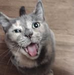 Profile Picture of Richard Seiffert (@richard.seiffert.14) on Facebook