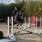 Amber Bolesworth 🇬🇧 - Instagram Profile Picture of Amber Bolesworth 🇬🇧 (@anb_equestrian) on Instagram