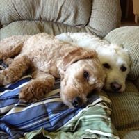 Profile Picture of Terri Mcandrew (@terri-mcandrew-3) on Quora