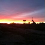 Profile Picture of Suzanne Bradley (@goodthymes) on Instagram