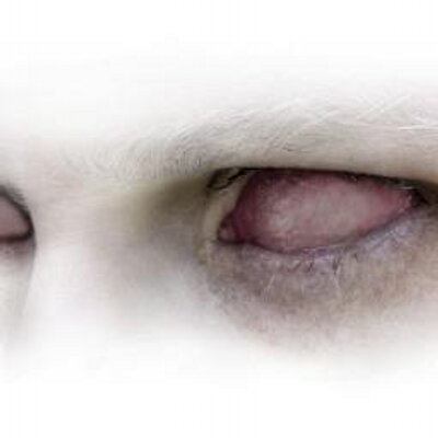 Profile Picture of Edwin Ray (@edwinray4) on Twitter