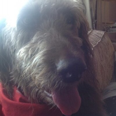 Profile Picture of Nicola Jane Mitchell (@NicolaJaneMitch) on Twitter