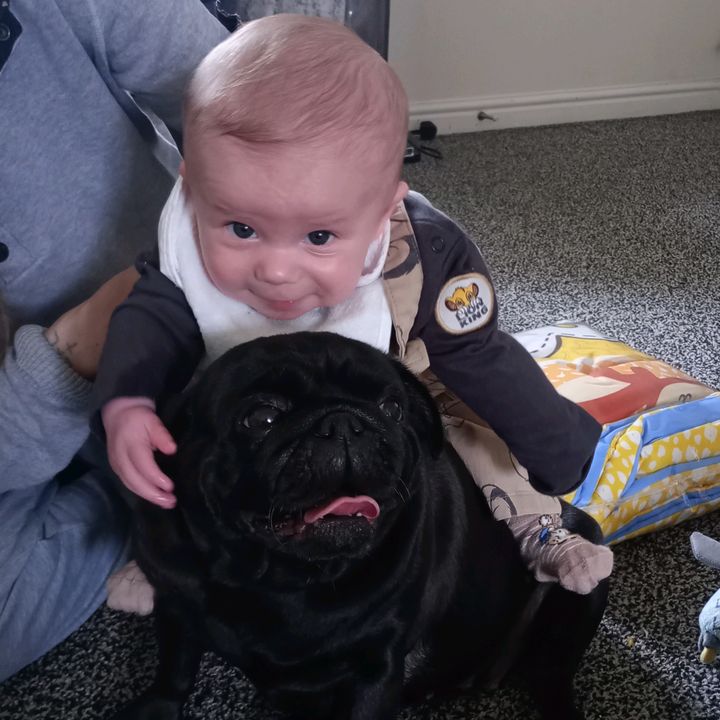 Profile Picture of Denise (@denisecowburgh) on Tiktok