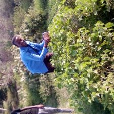 Profile Picture of Sharmarke Ahmed (@Sharmar18386083) on Twitter