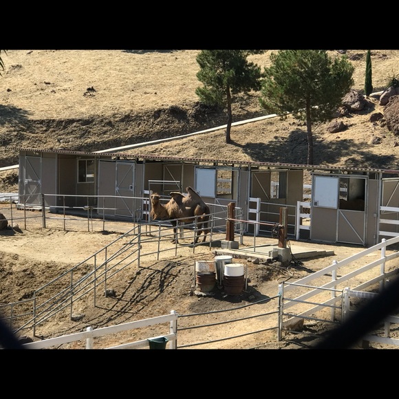 Profile Picture of Shelby Doderlein (@shelbytaylor11) on Poshmark