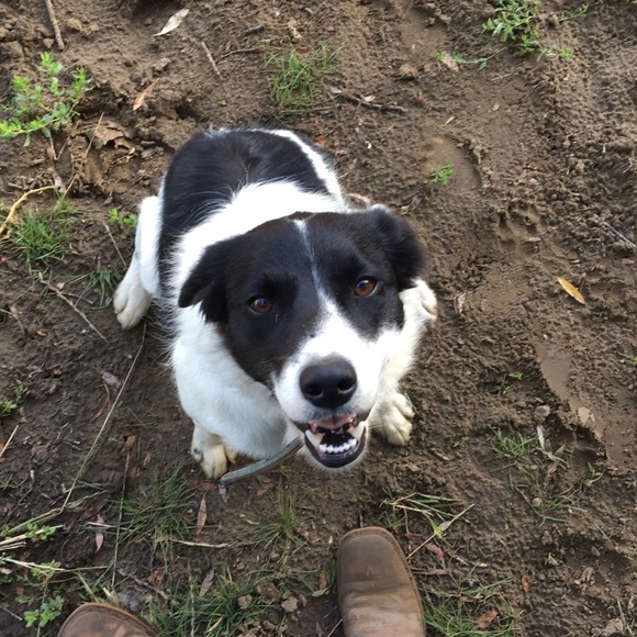 Profile Picture of Emily James (@emily1james) on Poshmark