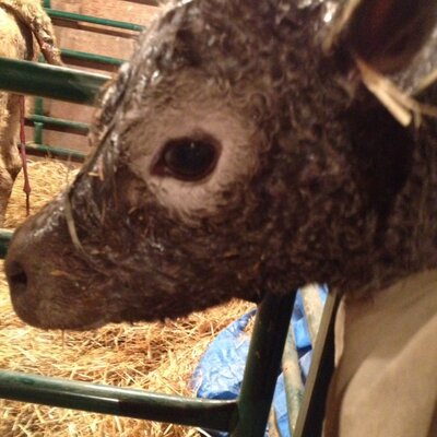 Profile Picture of Jeremy Krueger (@jn_krueger) on Twitter
